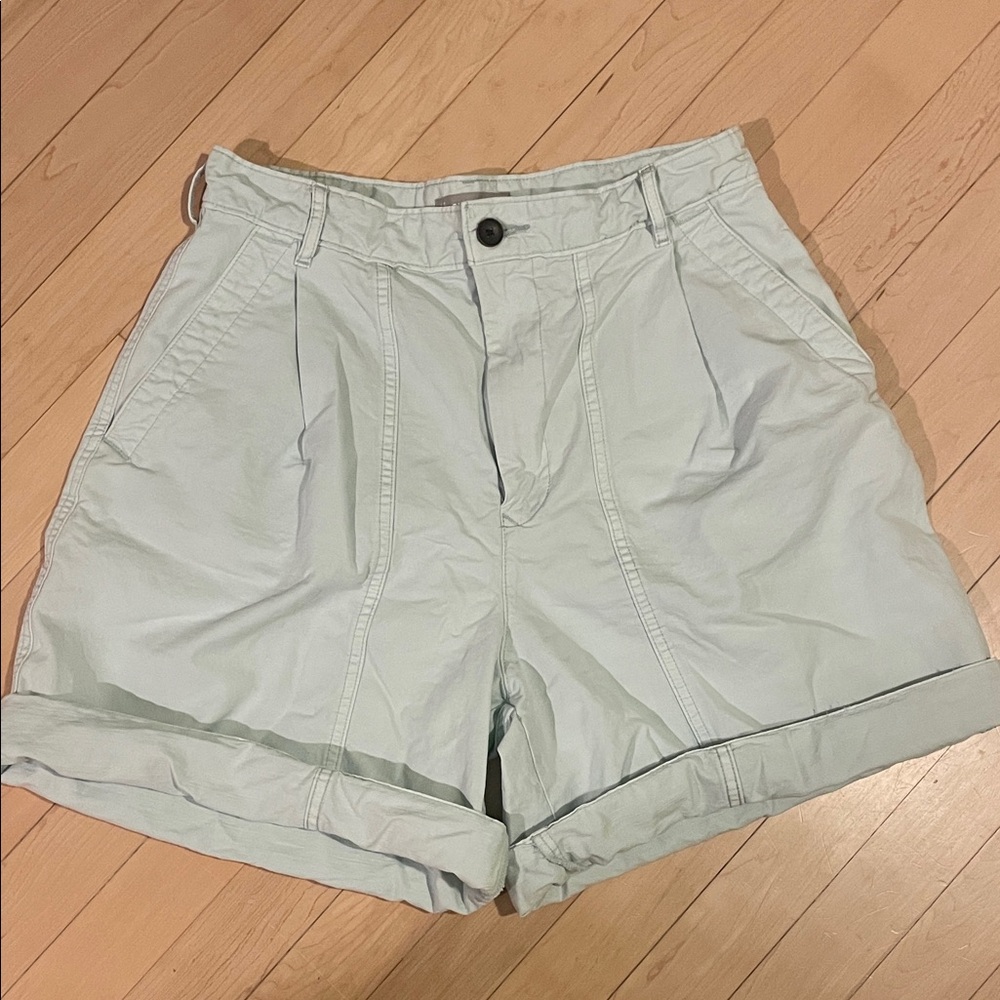 Everlane The Tourist Short